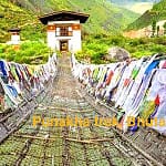 Punakha trek in Bhutan