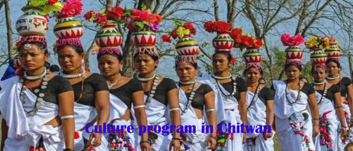 Culture program in Chitwan