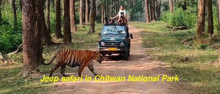 Jeep safari in Chitwan National Park