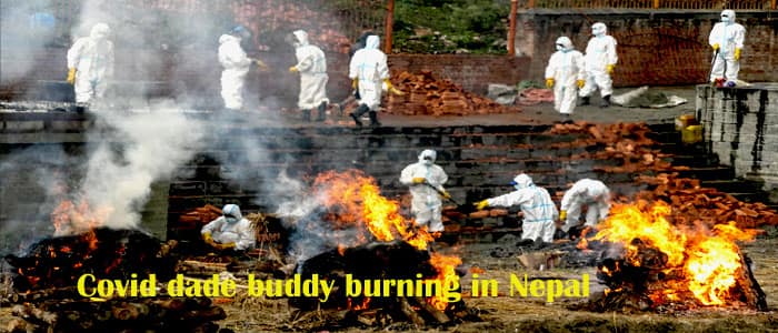 Covid dade buddy burning in Nepal
