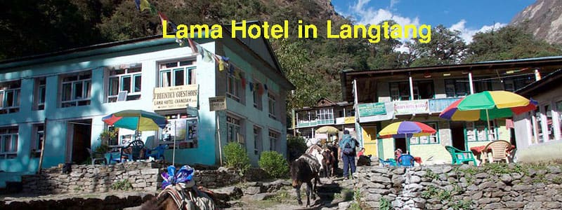 Lama Hotel in Langtang Trekking