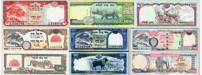  Nepali Money Exchange in Nepal Image