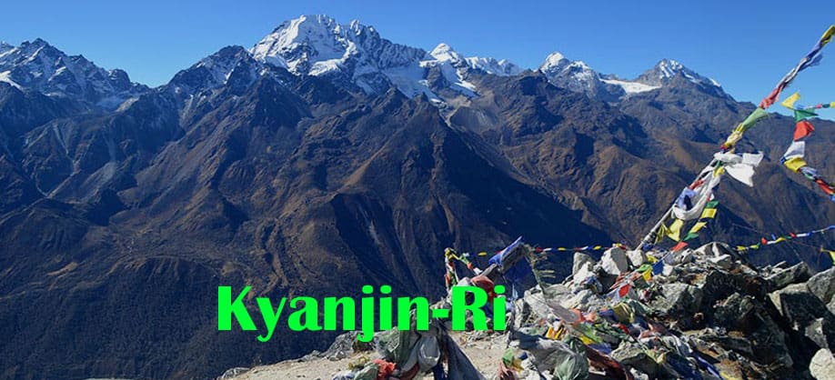 View from Kyanjin-Ri langtang.